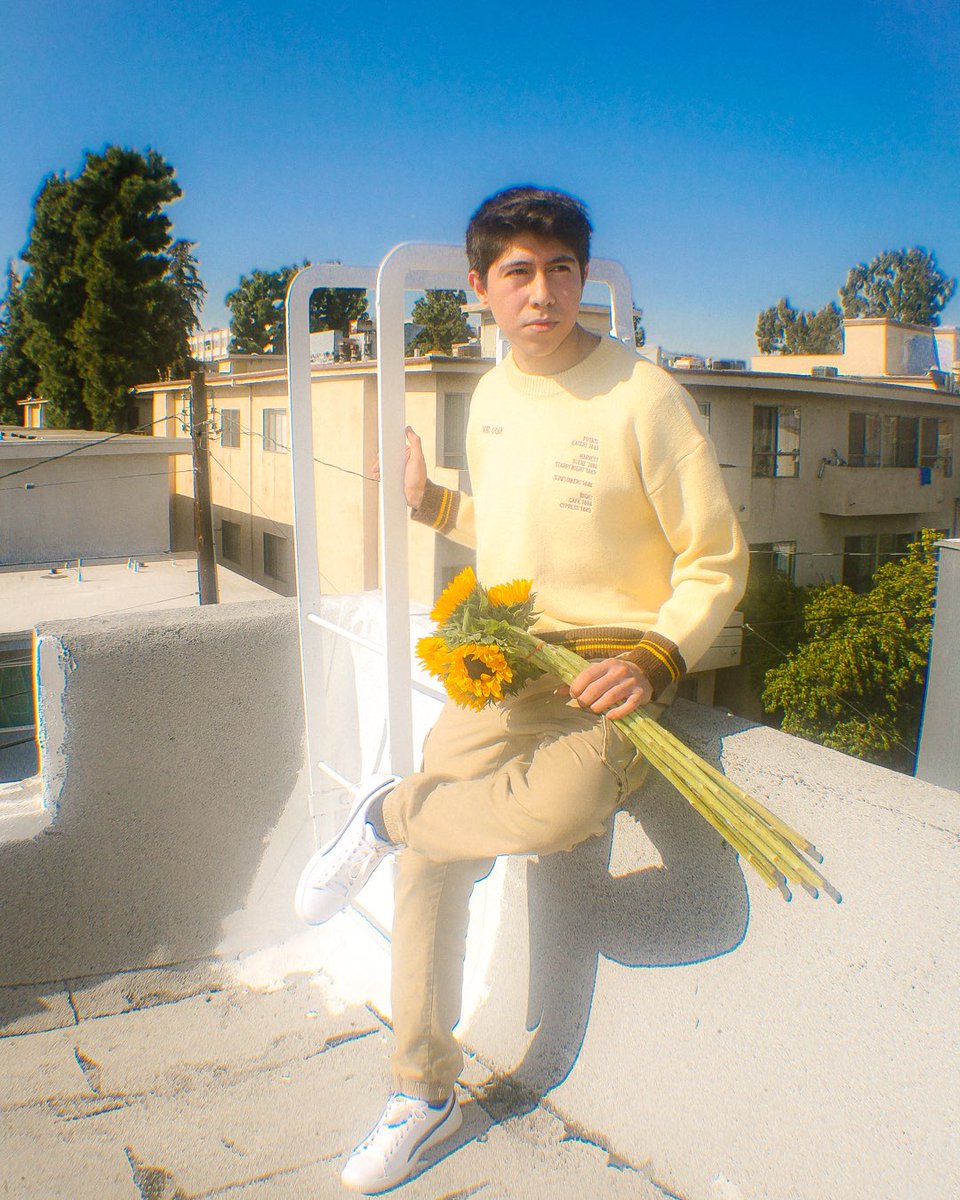 JacquesStellar's tweet photo. Wanted to have these on here too 🌻☀️ https://t.co/5lJHdD6LHL