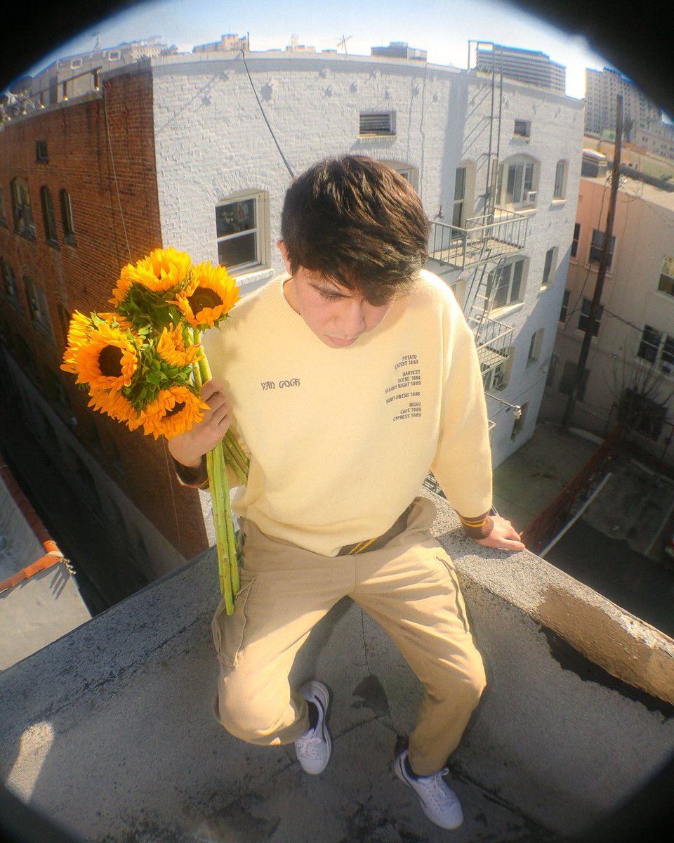 JacquesStellar's tweet photo. Wanted to have these on here too 🌻☀️ https://t.co/5lJHdD6LHL