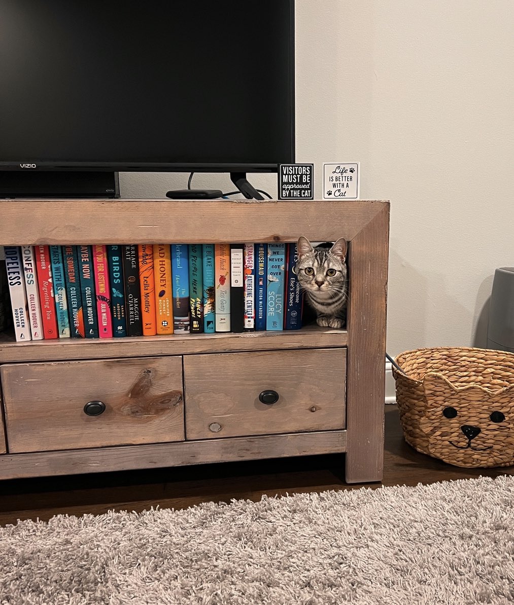 courtshy's tweet photo. not a bookworm, but a bookcat @pangobooks #pangopets https://t.co/Kr8i6vnHQ8