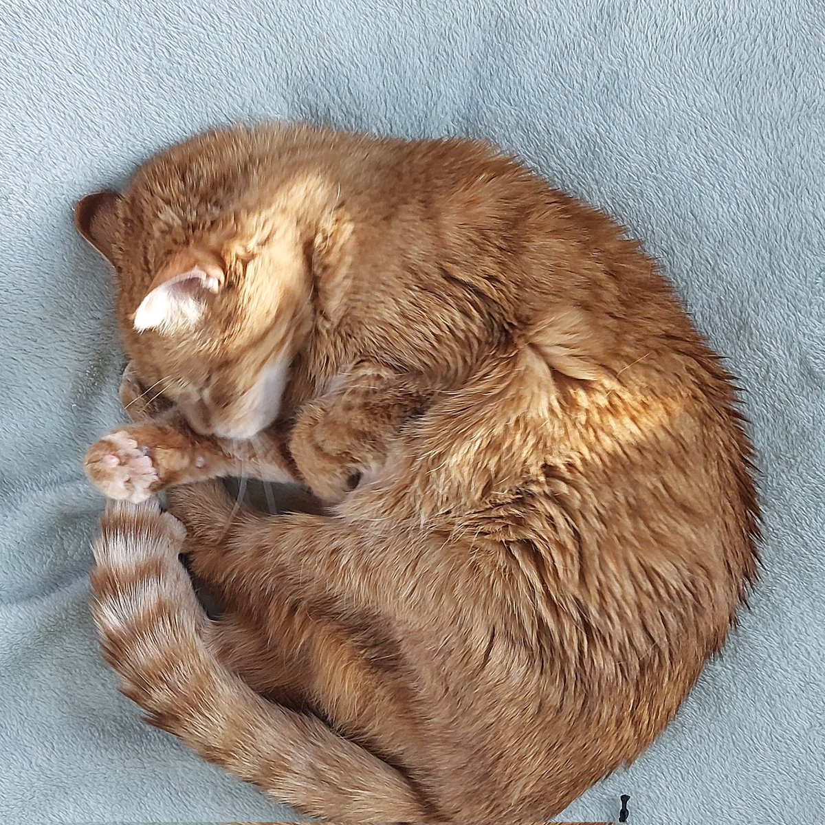 cowgirlwriter's tweet image. Tell Mrs. Angry that Betty and I send you all our best.