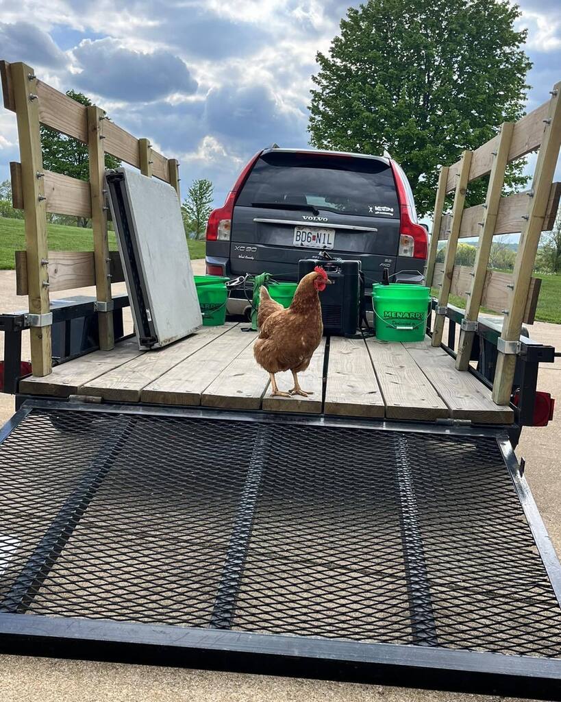 Bold Spoon Creamery tweet media