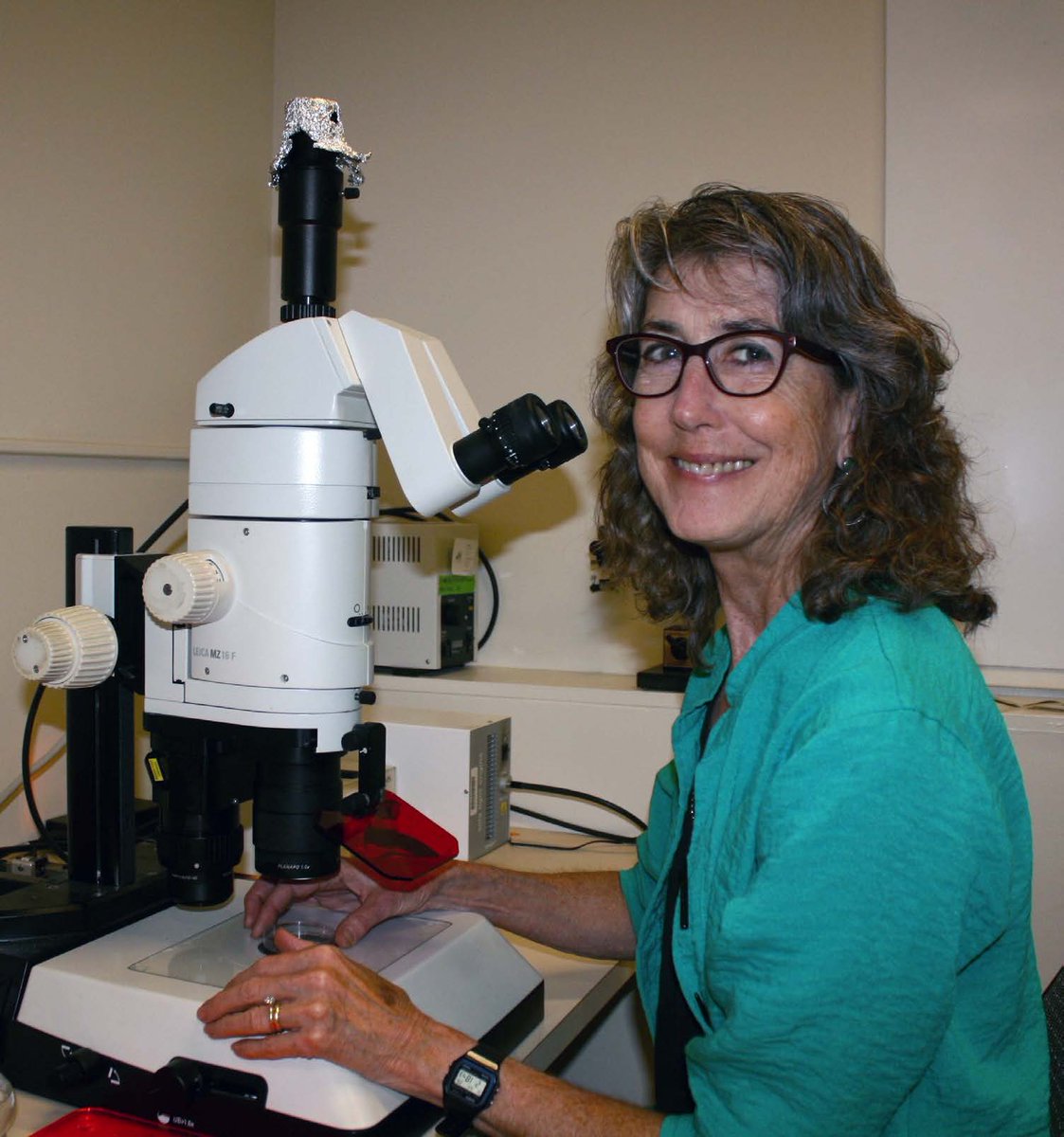 theNASciences's tweet photo. Congratulations Susan Strome of @ucsc, newly inducted #NASmember! #NAS160 #biology #genetics https://t.co/SxwDiEkwaK