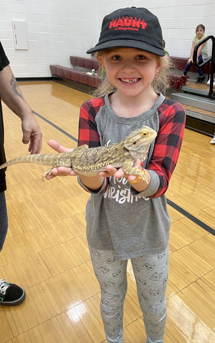 MrsMartinSmiles's tweet photo. Cool Critters! 🐍🐢🦔🦎 https://t.co/nsbLa2269X