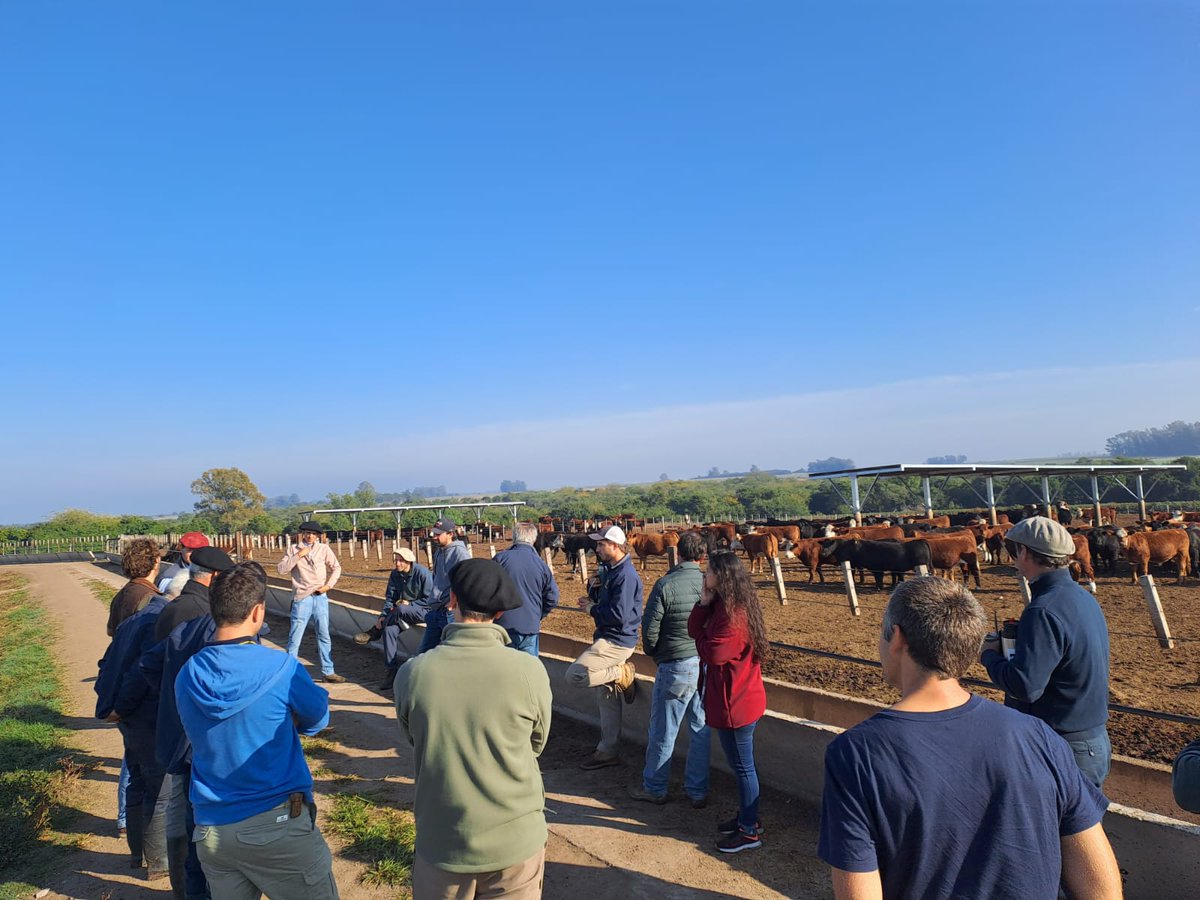 Dano Urani tweet media