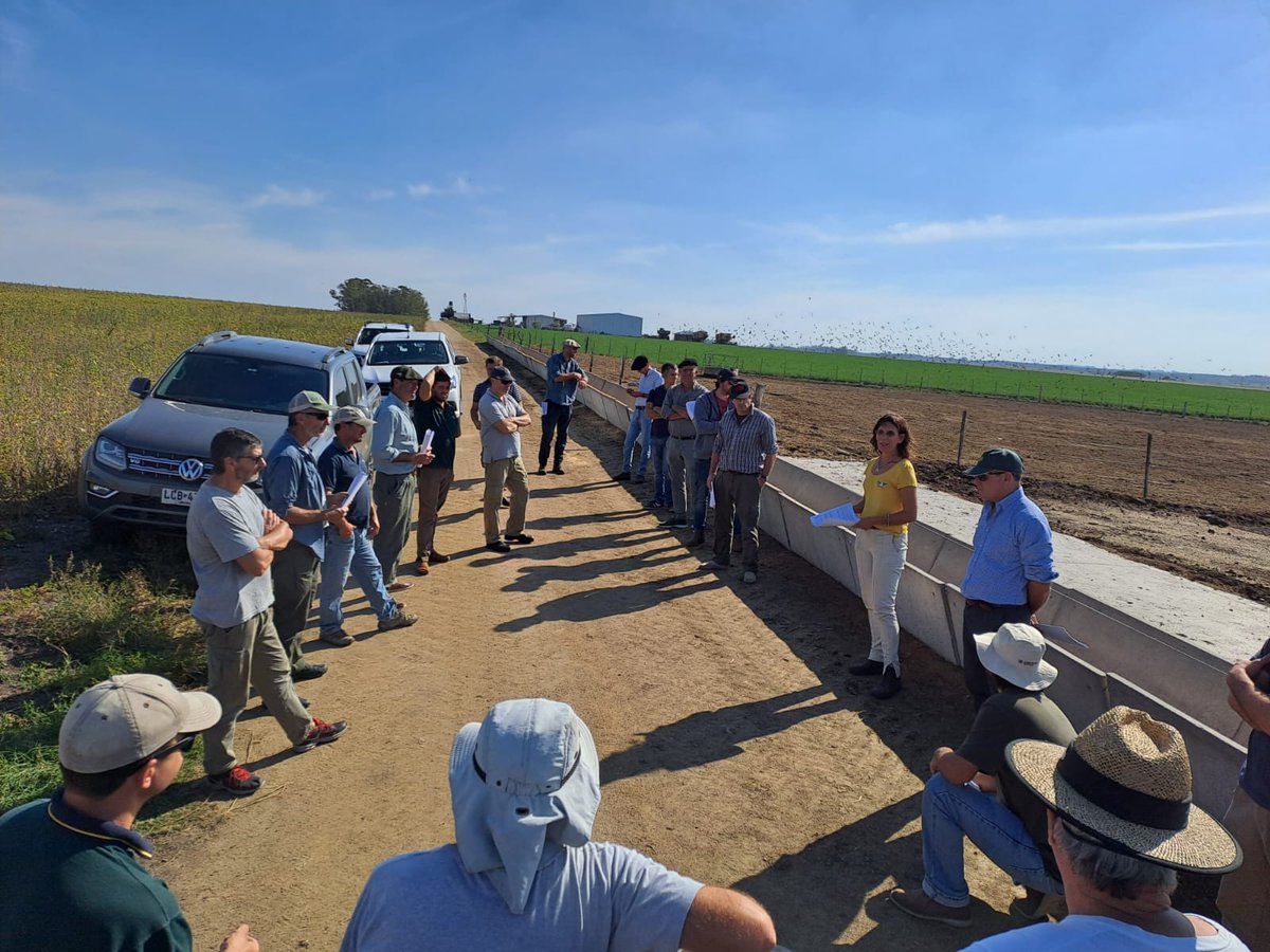 Dano Urani tweet media