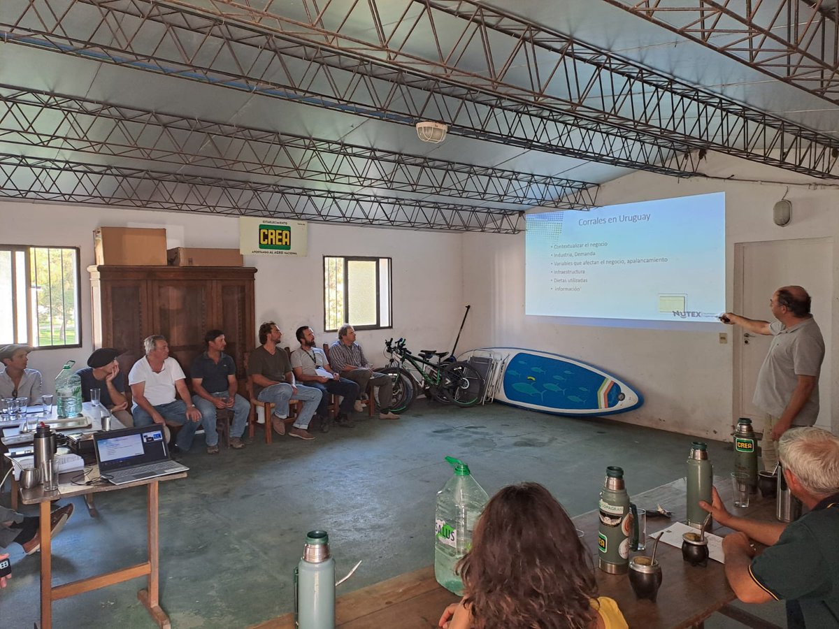 Dano Urani tweet media