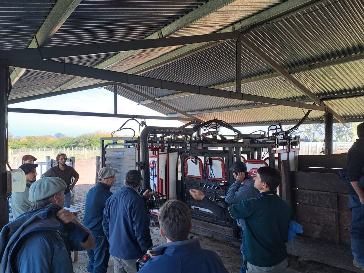 Dano Urani tweet media