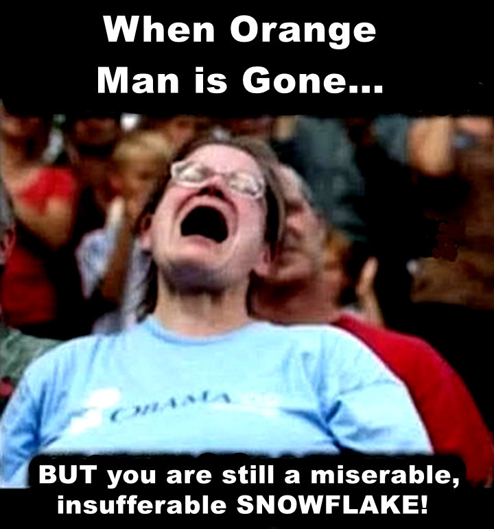 NashvilleTea's tweet photo. Was orange man REALLY your problem? https://t.co/NN7KeE2XLx