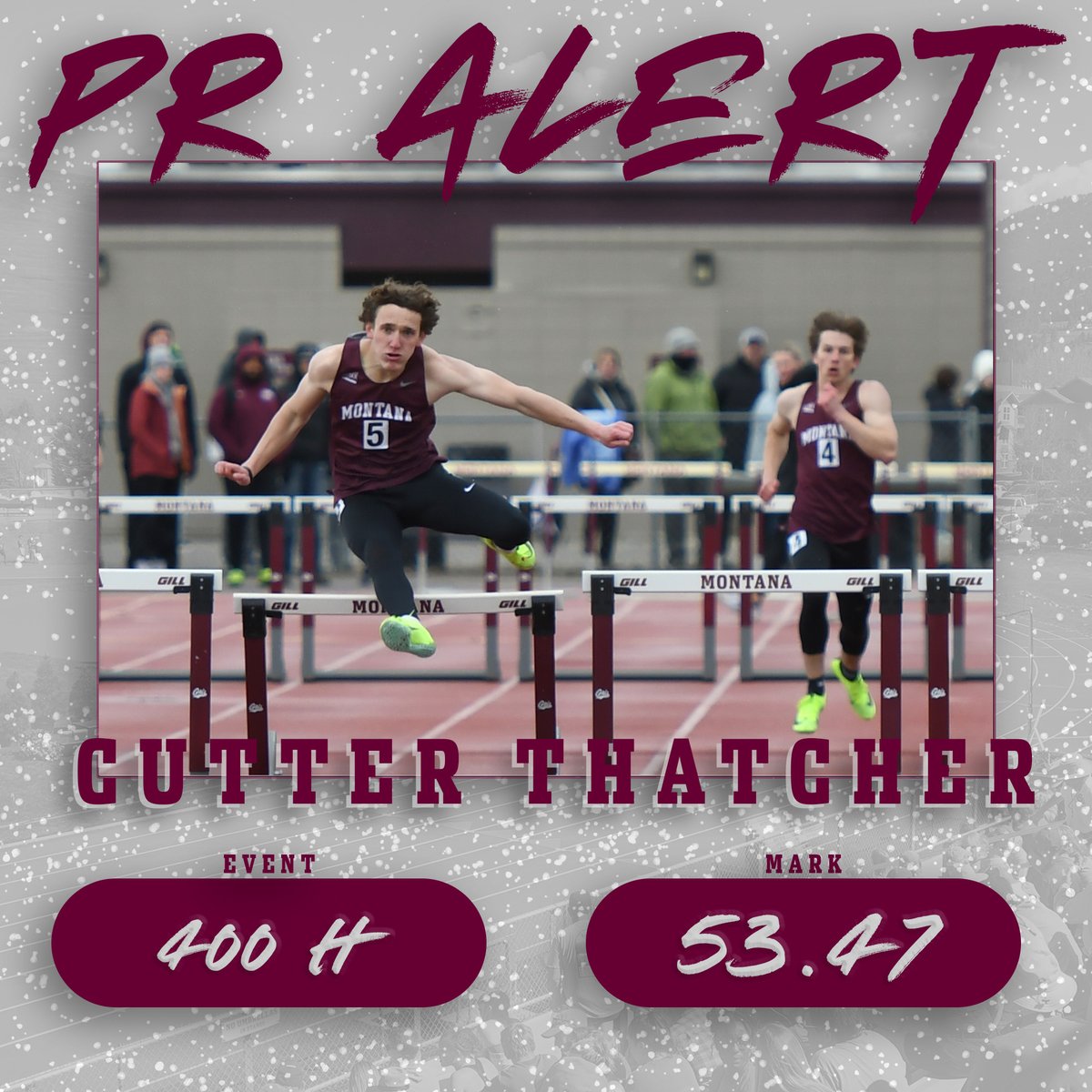 Montana Griz TF & XC tweet media