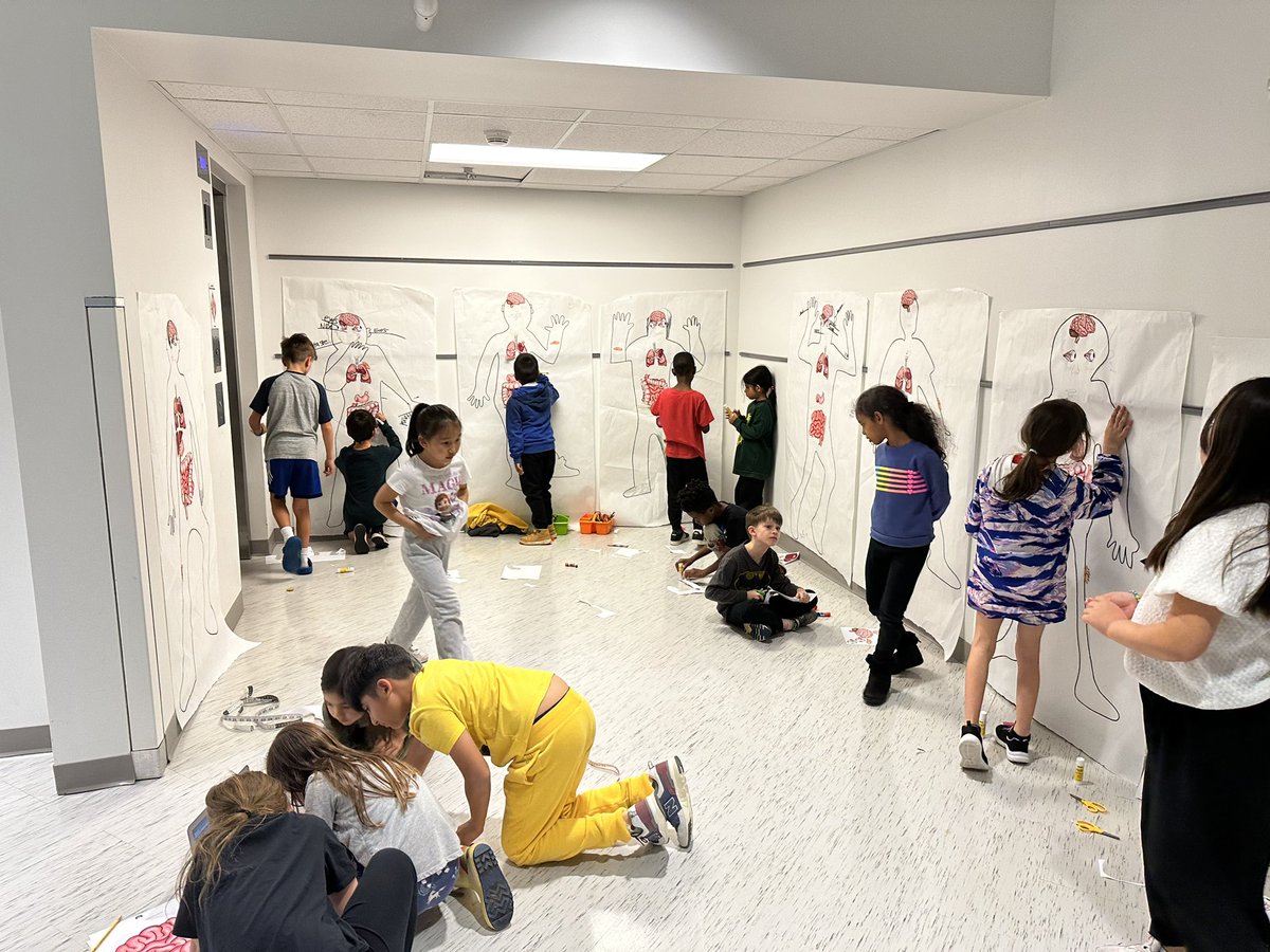 Second graders are learning about the human body! Check out these amazing (and slightly creepy👀) life-sized models. <a href="/AbingdonGIFT/">Abingdon APS</a> 🧠🫁🫀