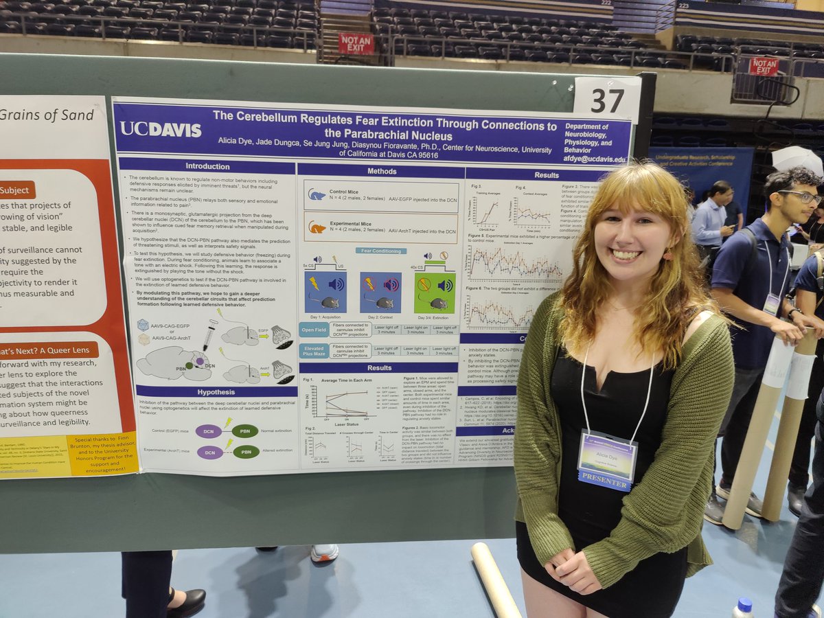 emicwright's tweet photo. Just came from wonderful posters presented by @HalyKatelyn and Alicia Dye at the UC Davis Undergraduate Research Conference! Both of them running their own projects and doing an amazing job! 🤩 https://t.co/iWBvNyliEM