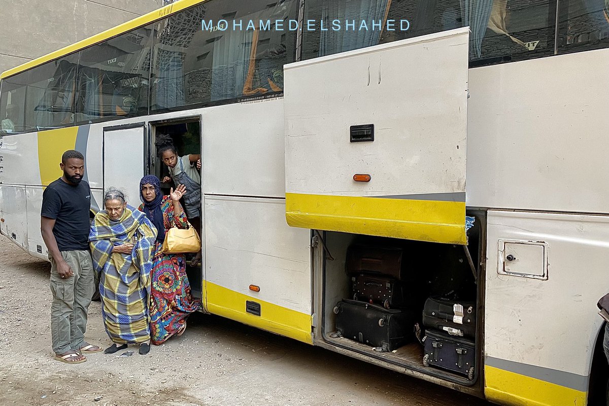 Mohamed El-Shahed tweet media