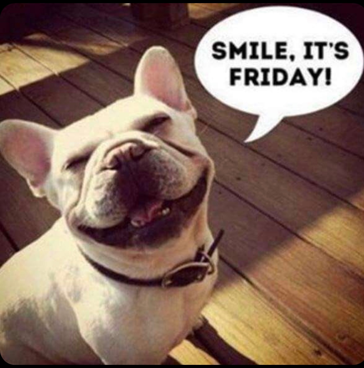 LARRY ELKAN tweet media