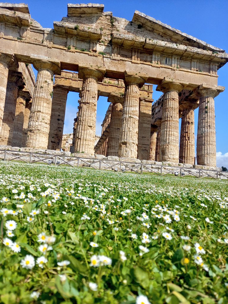 Francesca_Me's tweet photo. The so-called Temple of Neptune, considered to be amongst the best well-preserved temples of the Greek world.
📍#Paestum #CampaniaFelix 🇮🇹
🏛 Greek Doric order, built around 460 BC.
🌍 @UNESCO World Heritage Site.
Fun fact: The name is a misnomer from the 18th century. https://t.co/8EyHGkMuUK