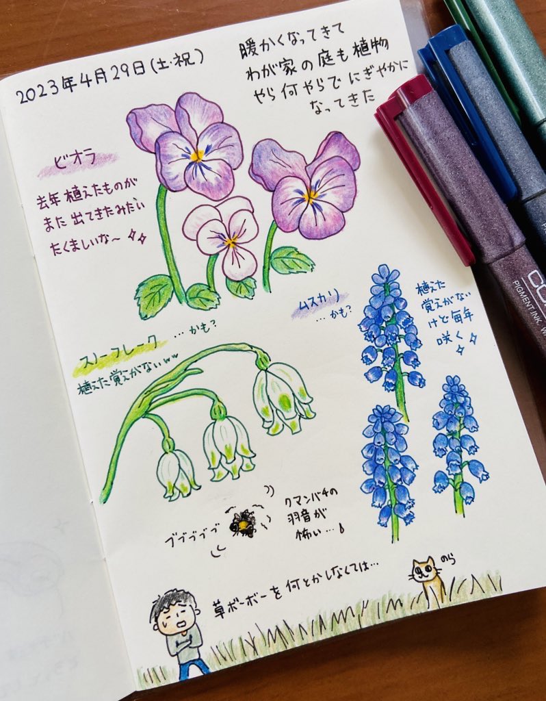 hatamotoko_0129's tweet photo. 絵日記230429
わが家の庭には植えた覚えのない花が毎年きれいに咲きます✨風で種が飛んでくるのか虫や鳥が運んでくるのか…🤔ともあれ、ようやく春がきたな~と実感✨
…もう初夏に差し掛かっているけど😅
#絵日記 #色鉛筆 #POLYCOLOR #uni #PIN #三菱鉛筆 #copic #MULTILINER #MDノート #文具のミドリ https://t.co/lwXb1sIchK