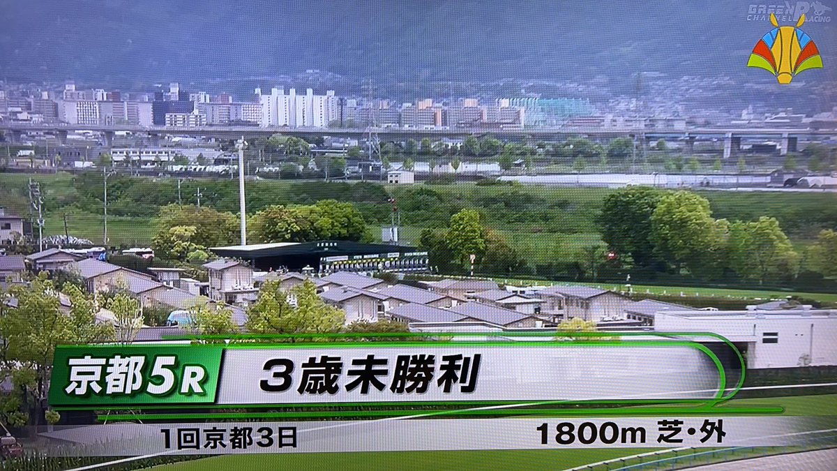 m67238245_m's tweet image. ㊗️嬉しい勝利🏆
#モーリス産駒
「アースクロニクル」
#スクリーンヒーローの孫🐎

京都５R
３歳未勝利
#アースクロニクル
#団野大成騎手
#斉藤崇史厩舎

見事な差し切り〜
おめでとうございます♪♪

#スクリーンヒーロー