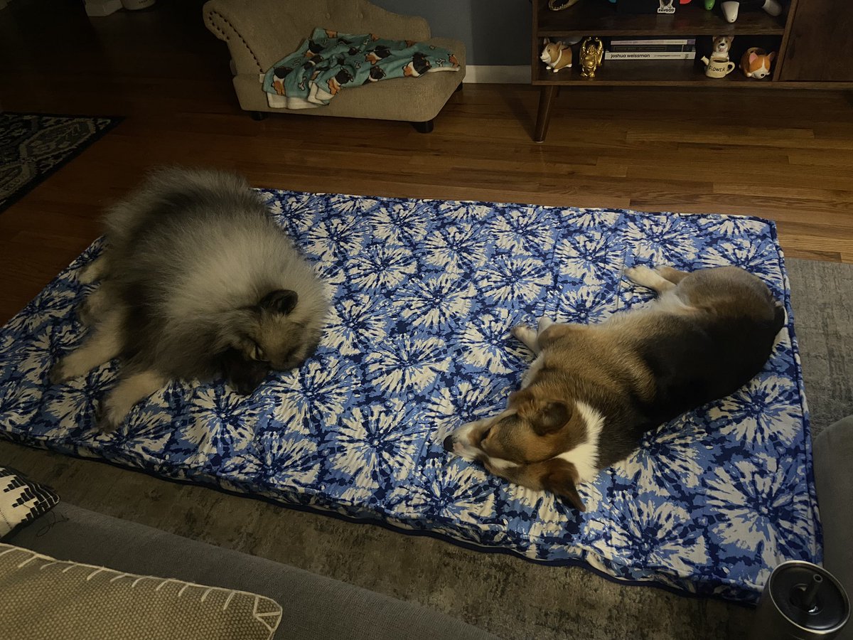 ᴘᴀᴠʟᴏᴠ ᴛʜᴇ ᴄᴏʀɢɪ on Twitter "Rolled out our lounge memory foam mat we