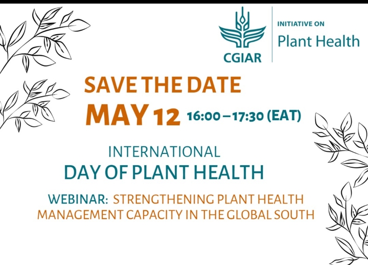 #PlantHealthDay
<a href="/CGIAR/">CGIAR</a> Plant Health Initiative in Strengthening Plant Health Management in the Global South. Watch for updates and join the event to learn more about ongoing capacity-strengthening efforts and future needs. 
<a href="/ippcnews/">IPPC | International Plant Protection Convention</a> <a href="/iapsc2/">AU-IAPSC</a>