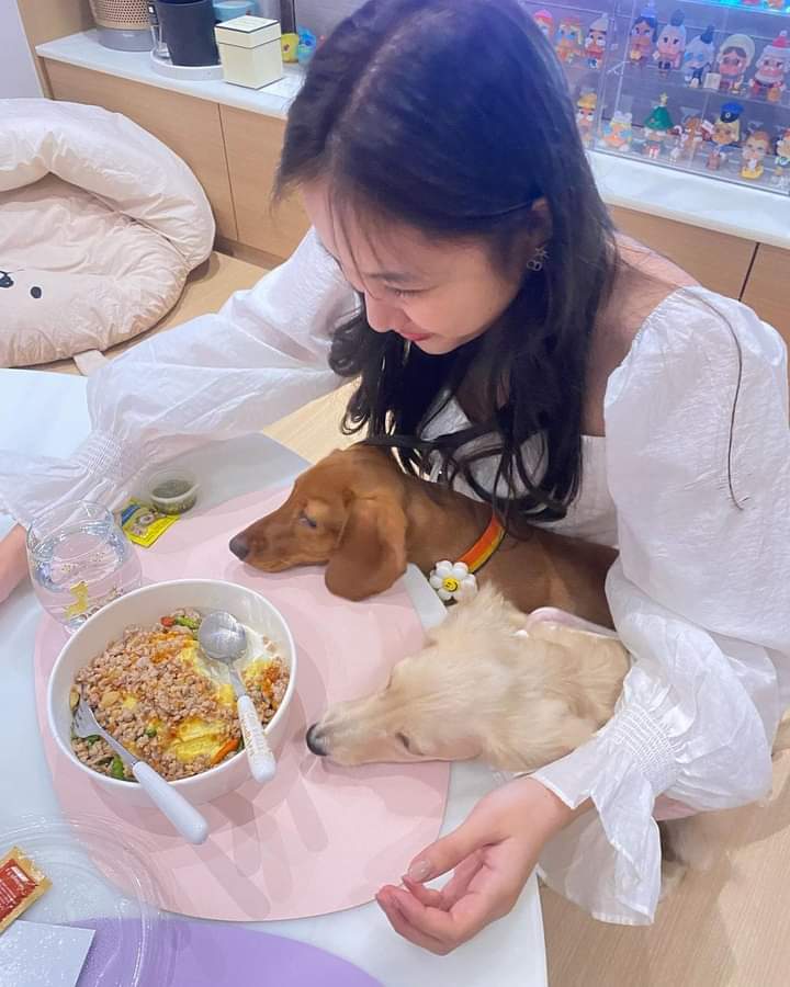 Karylle18592207's tweet image. IG Post Update 290423 || 📸 kluaihom.and.thegang
@srchafreen 
#freens 
#DogLover