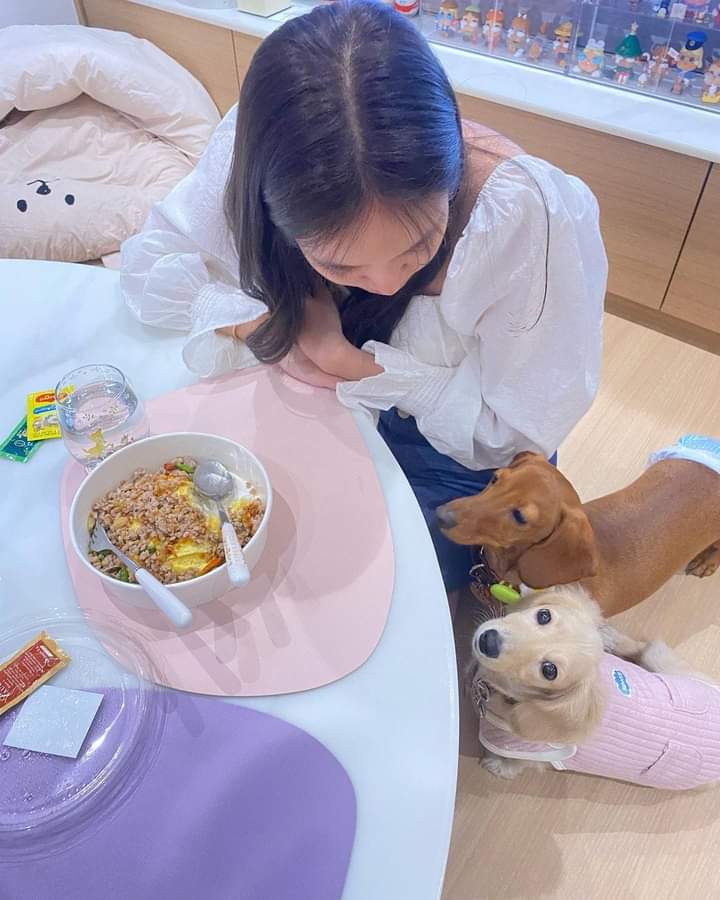 Karylle18592207's tweet image. IG Post Update 290423 || 📸 kluaihom.and.thegang
@srchafreen 
#freens 
#DogLover