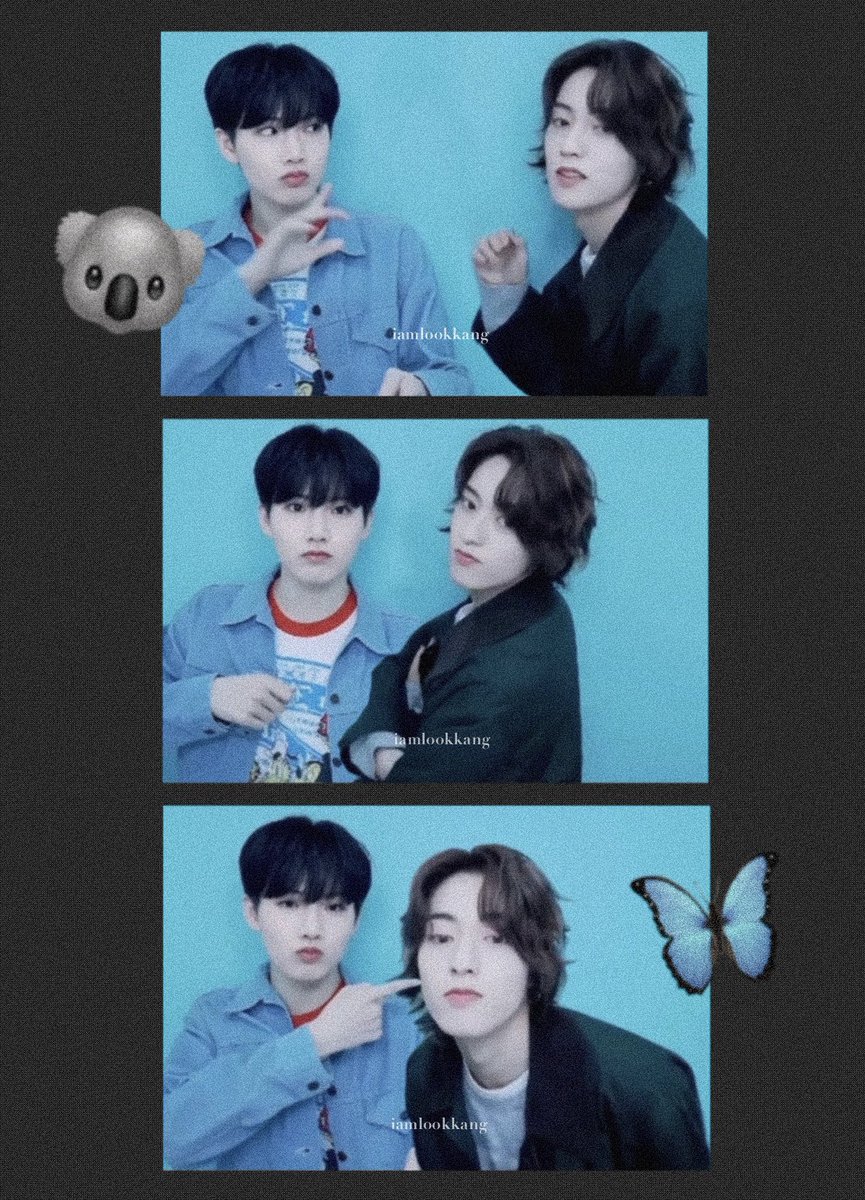 iamlookkang's tweet image. 𝐡𝐚𝐫𝐮𝐤𝐲𝐮 ❤︎ 🦋🐨