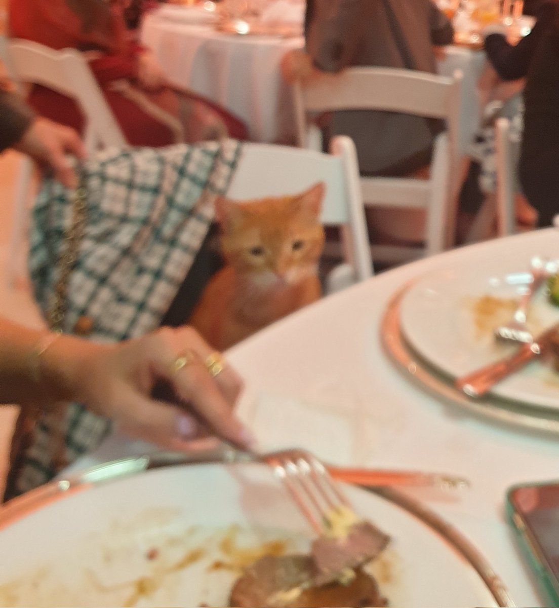 Yes that's at AUB. Our special guest at the Biomedical Sciences Alumni Chapter dinner. The image quality is not good but worth to share 😅