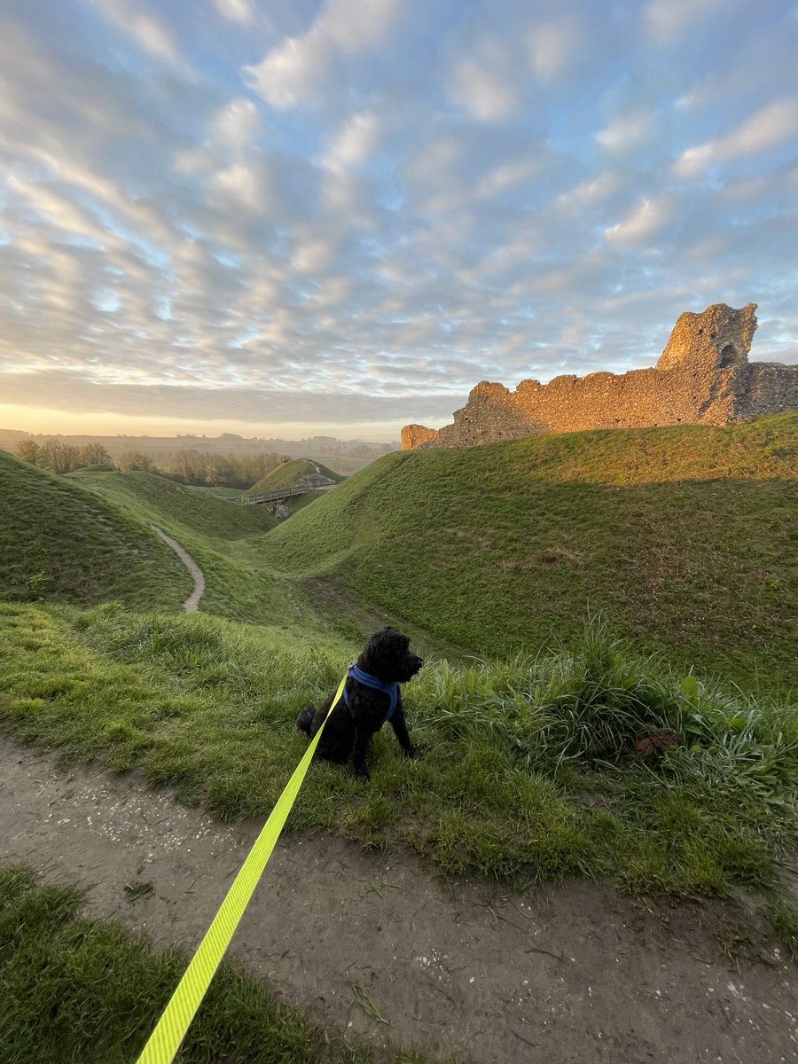 Lee Buttery tweet media