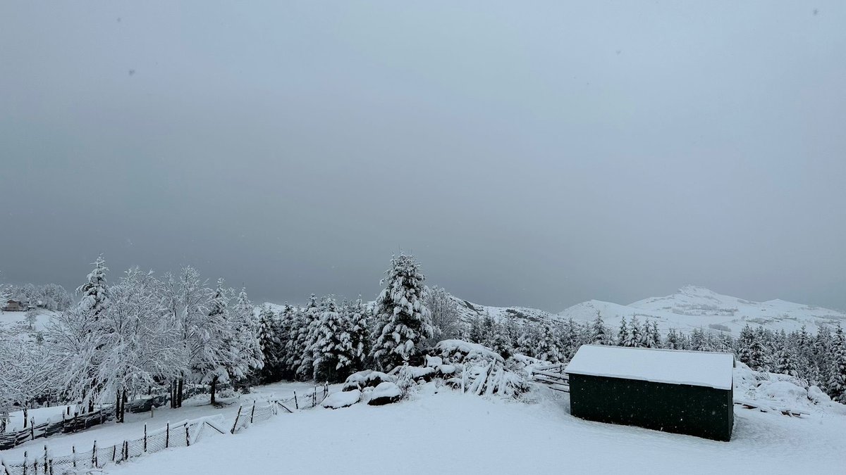 Trabzon Kayabaşı Yaylası 

📸 Yunus Emre Sel