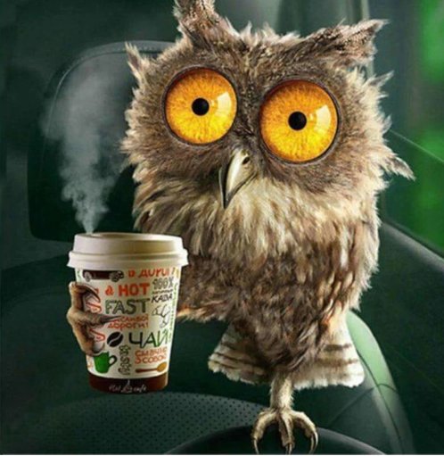 <a href="/DjKAROUH/">D.J. KAROUH 🇦🇹🏠🎶</a> So siehst du wirklich aus... hier Kaffee für dich🤣🐀