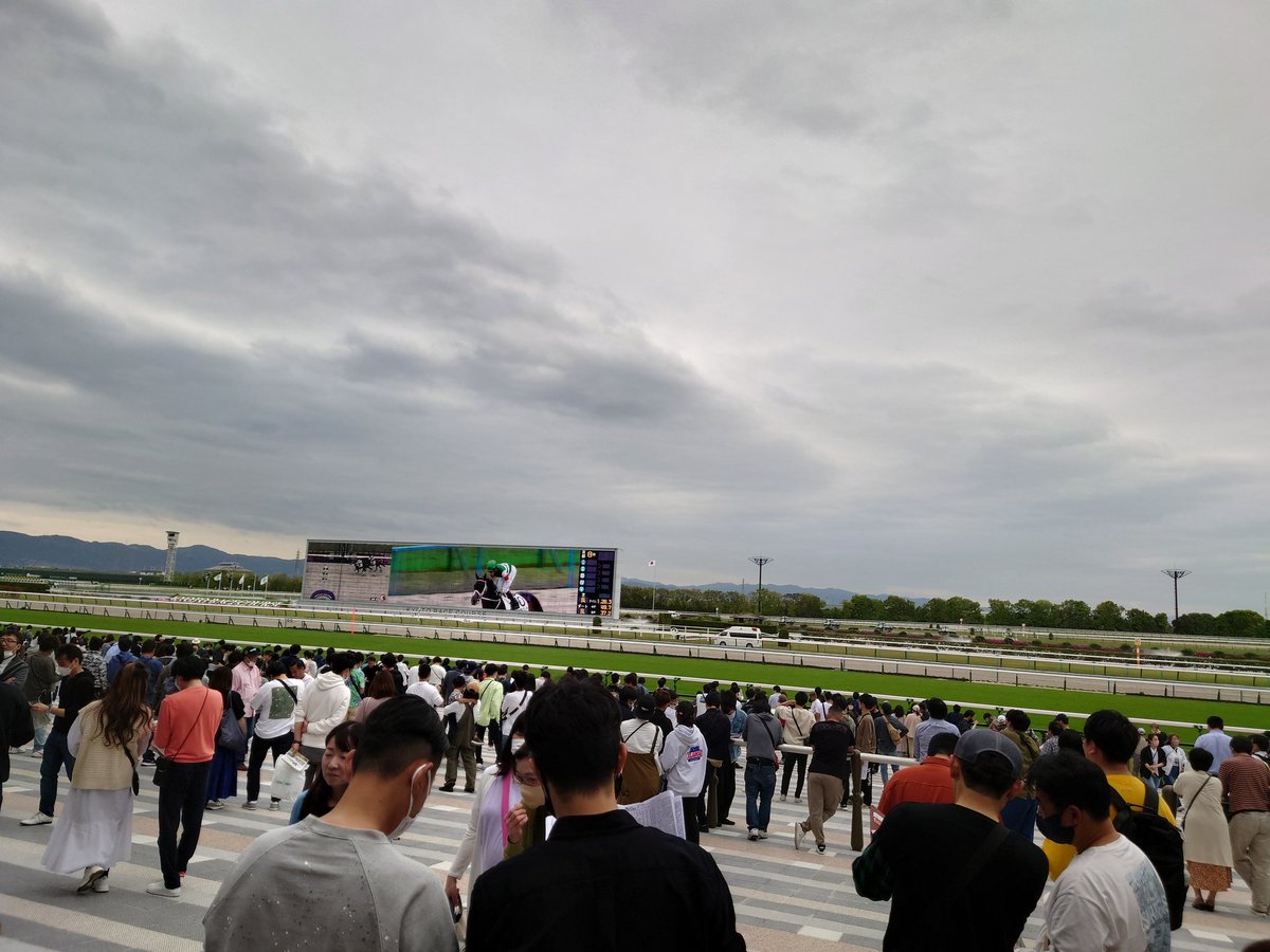 miyahann's tweet photo. 俺達はHIGEさんの墓参りに来たと思ったら京都競馬場にいた…
#dsp1 https://t.co/vEXbdSjvho