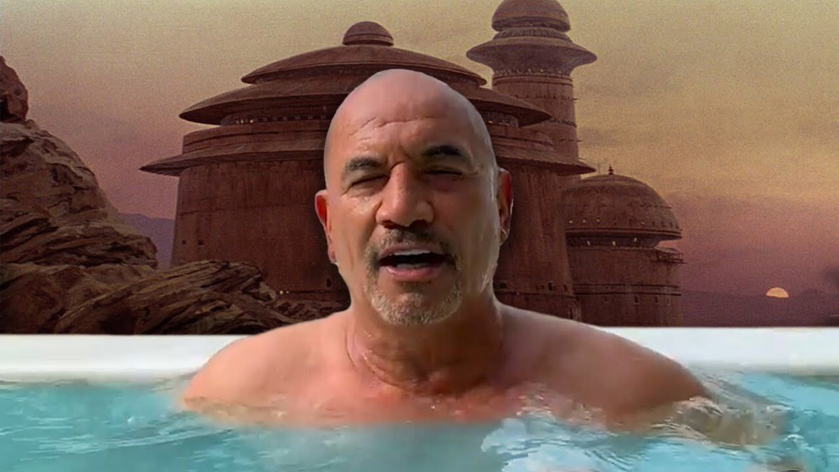 when you type “boba wett” instead of “boba fett”.