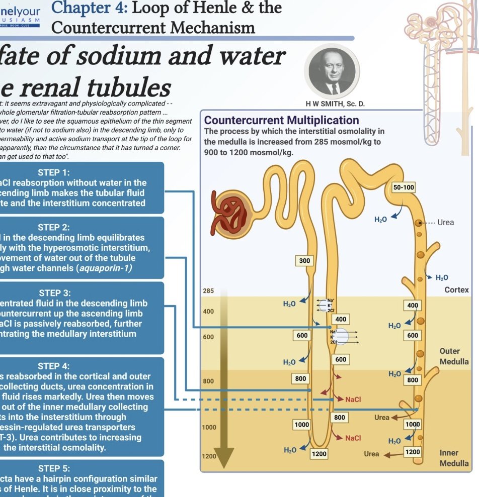 Ashley Winter MD || Urologist tweet media