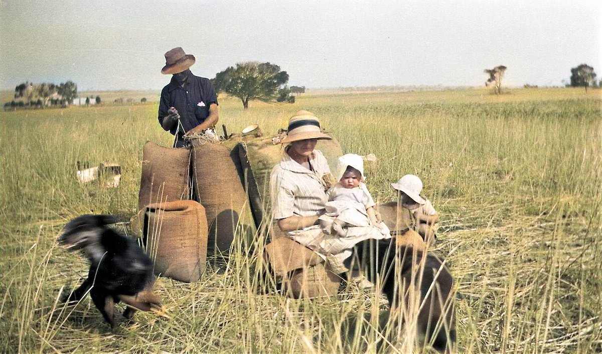 ColourMePerth's tweet photo. @statelibrarywa #Colourised! ‘Cos why not! 😀 #colorize @britishlibrary @statelibrarynsw #Perth #WesternAustralia #Ongerup @MuseumofPerth https://t.co/lQmfTC1LKA
