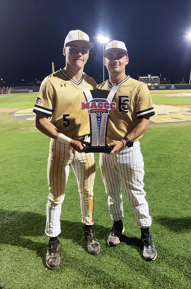 NEJ Tiger Baseball tweet media
