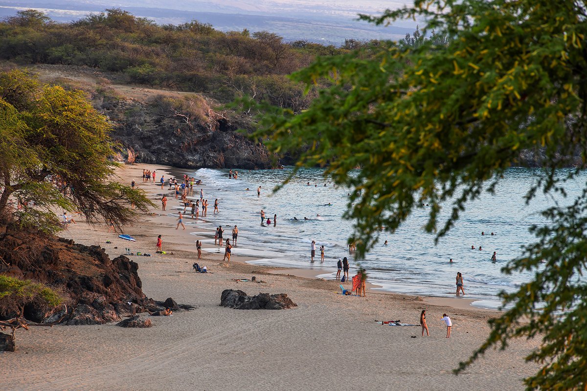 HawaiiPanoramas's tweet photo. Good evening and good night from Hapuna Beach, Big Island of Hawai'i.
#aloha #hawaii #hawaiipanoramas #hawaiivacation #sunset #beach https://t.co/K0Mt7uEsoA