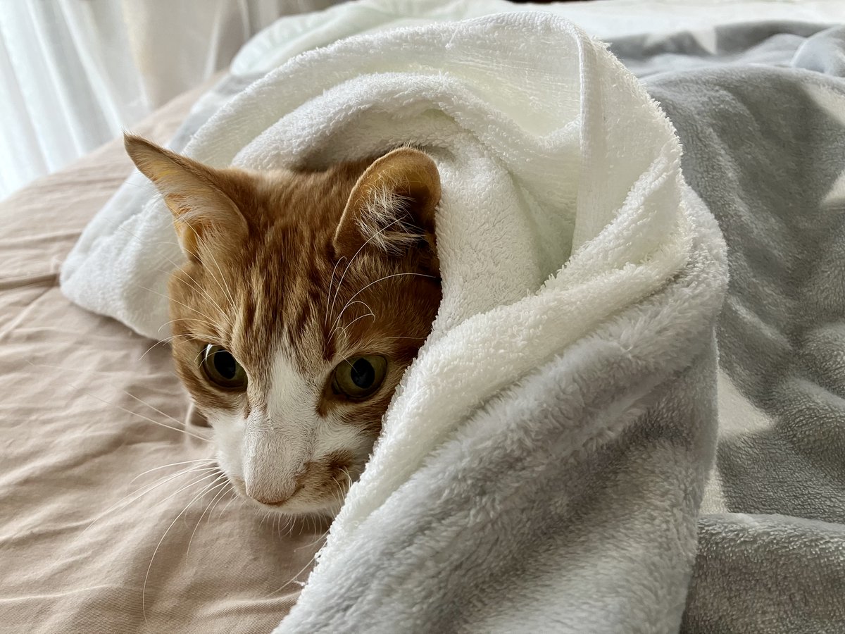 ふぅ