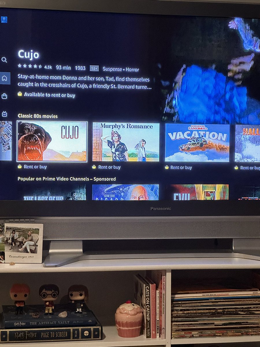 weallgotbruises's tweet photo. Came up on my recommendations in classic 80s movies and all I can think of is @bstolemyremote on @HorrorQueers saying, “Tabitha, does it have a dog? Can I say Cujo? Throw it on the poster!” And then I hear @TracedThurman cackling in my head and my Friday night is complete. 😂 https://t.co/6EGv9UYfmC