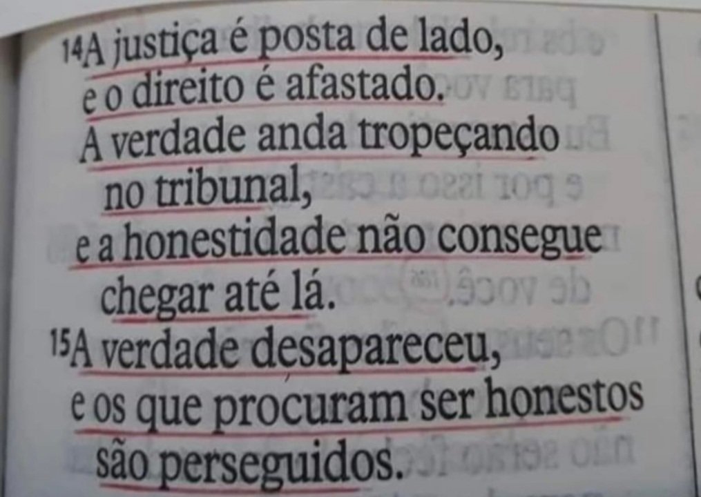 Bethsy 🌻 🇧🇷 tweet media