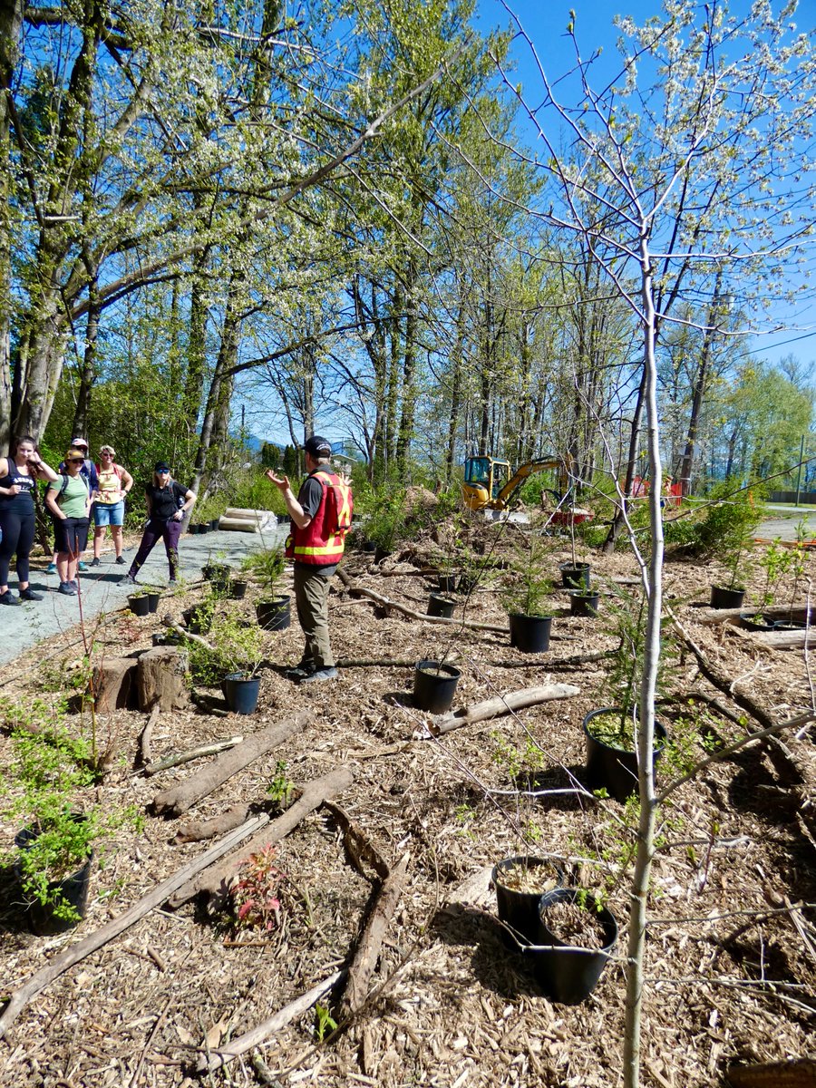 margoflower's tweet photo. A few pictures from my workshop today, called "Salmon, Salamanders, and Streams of Dreams: Indigenous Stewardship along Chilliwack Creek" (and the new Sq'ewqéyl I:mex Xalh (Skowkale Walking Path) with Steve Clegg, from the S.A.Y. Land Stewardship. #sd33learns @chwkteachers https://t.co/Q4Xhv7Ks4J