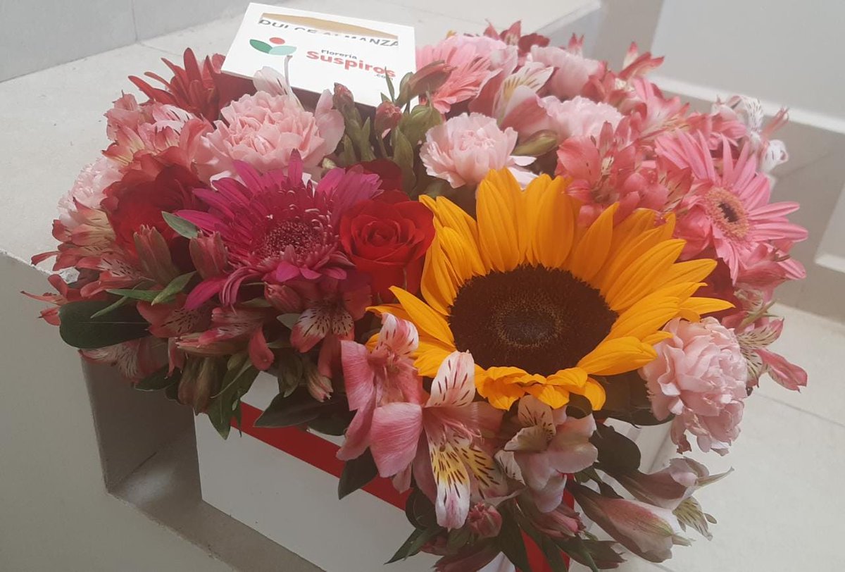 Nadie se les iguala, no se les acercarán ni al 50% de lo que son, mucho menos de lo que serán. 🤍 No tengo palabras para expresar toda la gratitud, por habernos ayudado a asistir al evento y por siempre estar para nosotras, sin duda la mejor org/fam. Thx for everything. 🤍