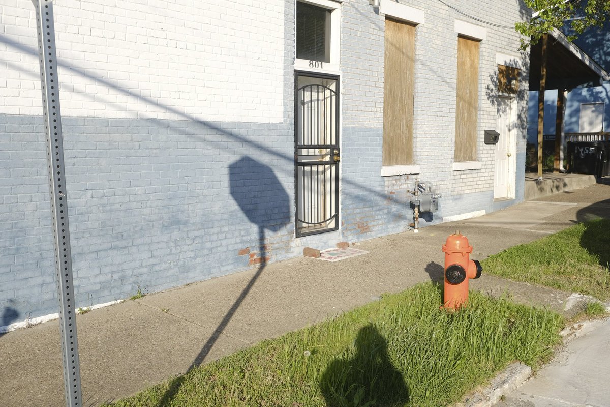 _dylanhutchison's tweet photo. A walk on Shelby St. https://t.co/TKq1q891en