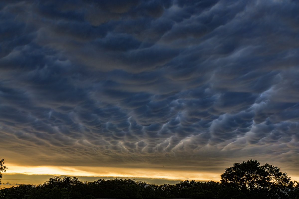 Ronnie Prcin tweet media