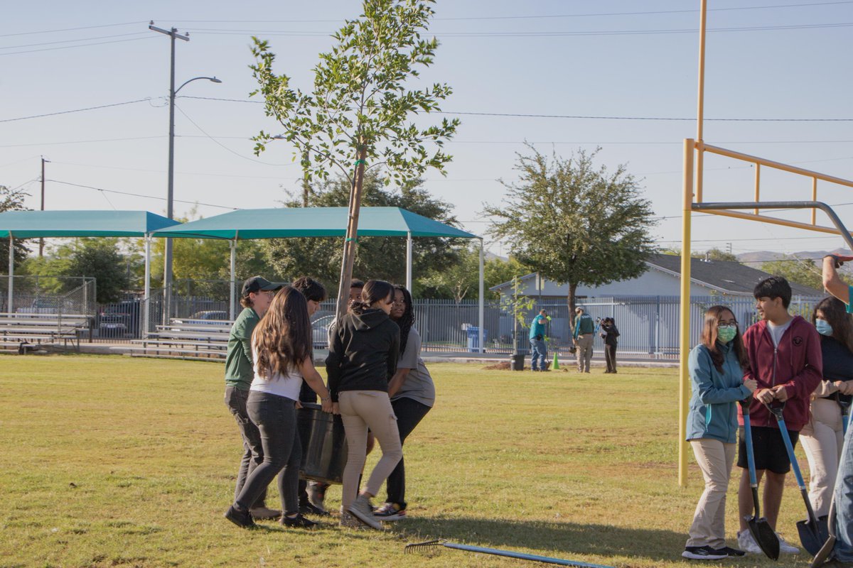 apsFYI's tweet photo. The power of nature and community was on full display at our tree planting event with @TreesMatterAZ. We worked together with @phxschools Bethune School to plant 33 trees, and it was a huge success! 

Learn more about our Community Tree Planting program at https://t.co/WZD2geyrnt https://t.co/hOGT4QXWXA