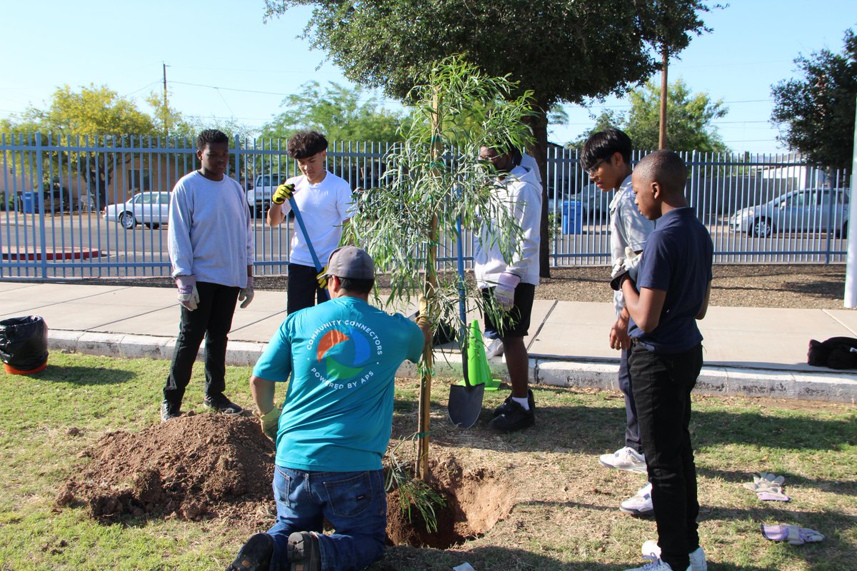 apsFYI's tweet photo. The power of nature and community was on full display at our tree planting event with @TreesMatterAZ. We worked together with @phxschools Bethune School to plant 33 trees, and it was a huge success! 

Learn more about our Community Tree Planting program at https://t.co/WZD2geyrnt https://t.co/hOGT4QXWXA