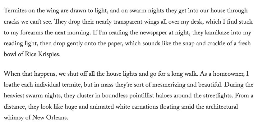 Brett Martin tweet media