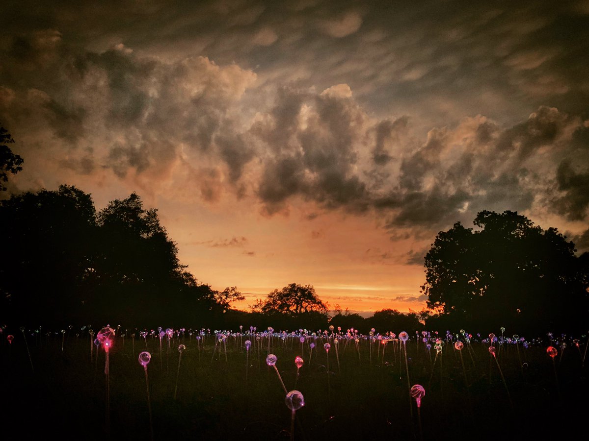 jonpattillo's tweet photo. Post storm sunset at the Field of Light #atxwx https://t.co/pkFyAWLEPc