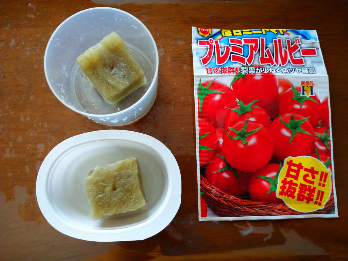 sunfruits_17's tweet photo. #家庭菜園　ミニトマト栽培記録

ミニトマトの種まき。
色々忙しくて時期が遅くなってしまった。
嫌光性種子なので、しばらく押入れにいてもらおう。 https://t.co/aFepxZDW5k