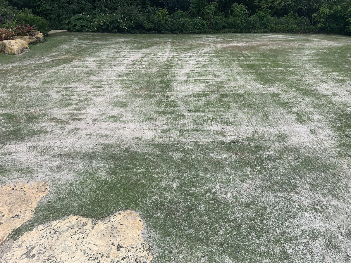 Southern Turfgrass Services tweet media
