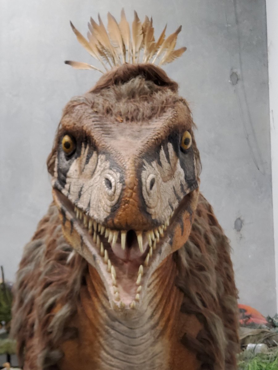 ThomasScienceEd🌱🦋🌎 tweet media