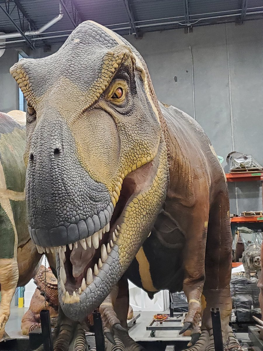 ThomasScienceEd🌱🦋🌎 tweet media